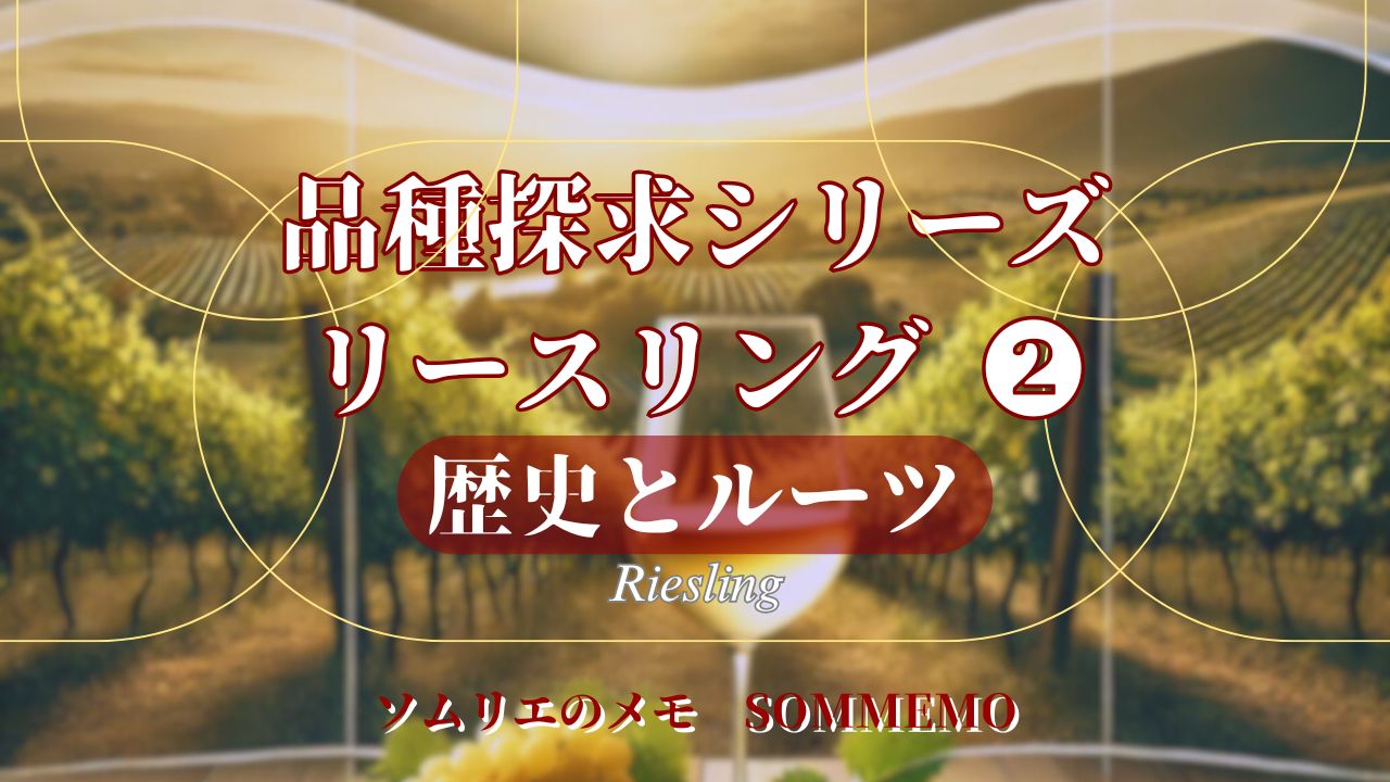 【ソムメモ】品種探求シリーズ#7『リースリング その2』歴史とルーツ【ソムリエ解説】