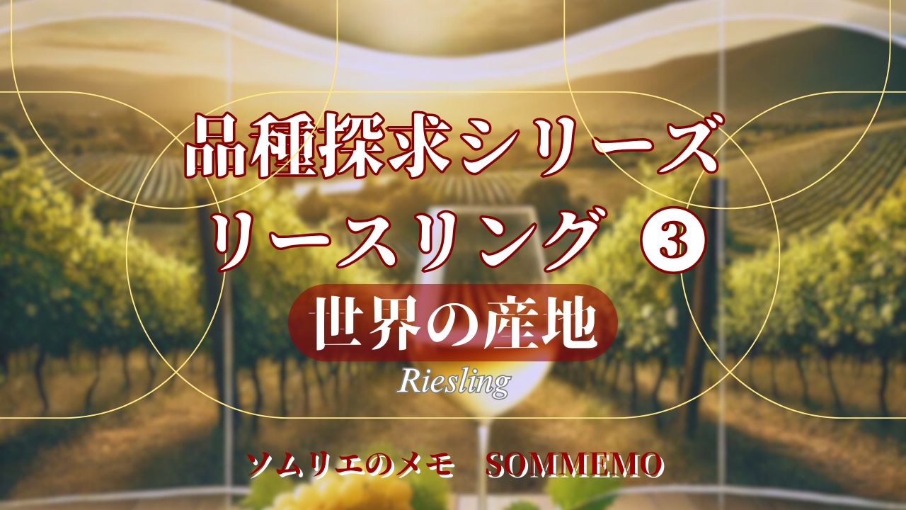 【ソムメモ】品種探求シリーズ#8『リースリング その3』世界の産地【ソムリエ解説】