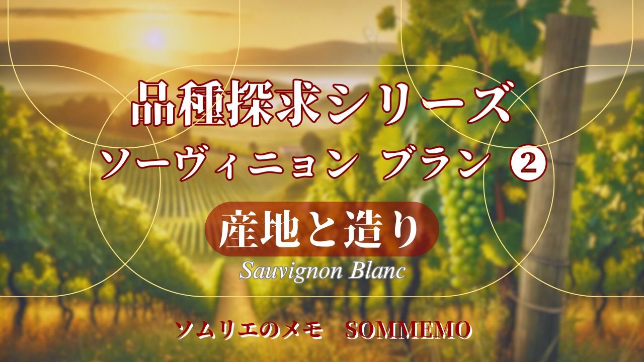 【ソムメモ】品種探求シリーズ#17『ソーヴィニョン ブラン その2(中編)』産地と造り【ソムリエ解説】