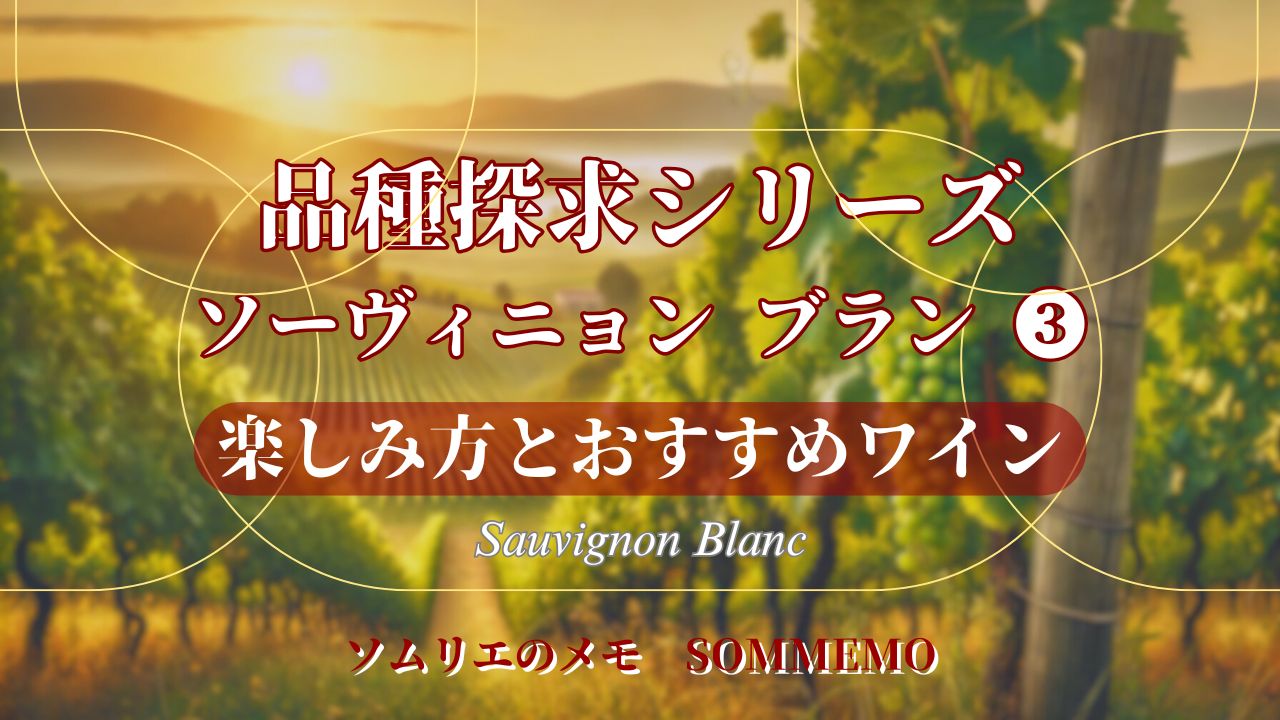 【ソムメモ】品種探求シリーズ#18『ソーヴィニョン ブラン その3(後編)』楽しみ方とおすすめワイン【ソムリエ解説】